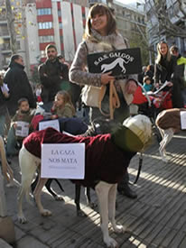 SOS GALGOS